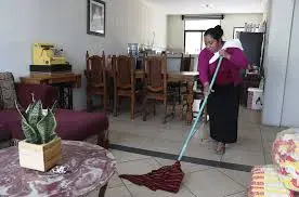 11. Domestic